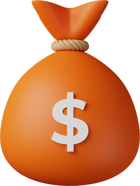 3D Orange Money Bag Dollar